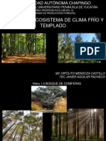 2. Los Bosques- Ecosistema de Clima Frío y Templado (1)