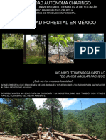 1.   LA ACTIVIDAD FORESTAL EN MÉXICO-23