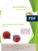 55437459-Marchas Bacteriol Gicas