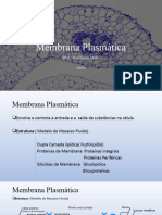 Membrana Plasmática