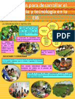 Infografia de Estrategia-Ciencia y Tecnologia