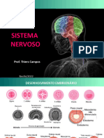 Aula 10 - Sistema Nervoso