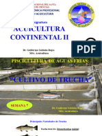 AcuiContII Sem 7