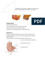 Apendicitis