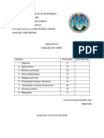 Protocolo de Doblado de Vidrio