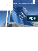 NATO'da Staj Programı