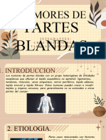 Histopatologia. Tumores blandos_080548