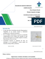 Presentación Examen Oral - MIP - CRISTOPHER TOVAR CARAMON