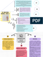 Grupo 5 - Mapa Mental EYFH1