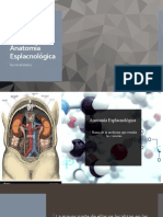 Anatomía Esplacnológica