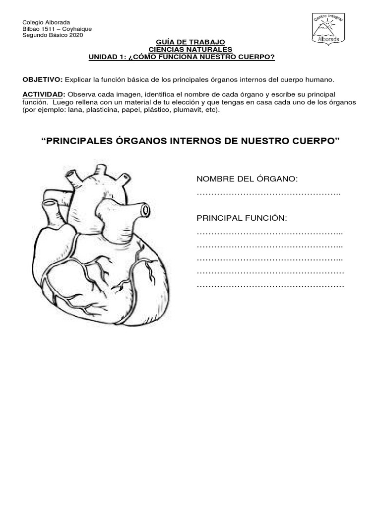 Ciencias 2º Básico Guía 2 Pdf