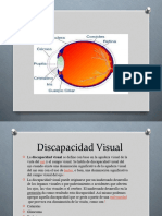 Discapacidad Visual