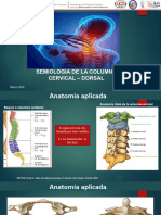 COLUMNA CERVICAL 2024