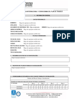 Plantilla Informe Experiencia Internacional y Cronograma Del Plan de Trabajo