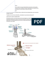 Qué Es Maléolo Tibial o Interno