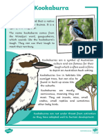 Au T 10000755 Kookaburra Fact File English