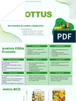 Matriz BCG