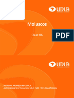 CLASE5_MOLUSCO