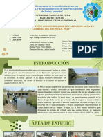Tea - "Evaluación de Perifiton Como Indicador de Calidad de Agua en La Ribera Del Río Piura, Perù