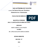 ADA 2 Clasificación de Armas de Fuego