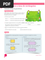 Perímetro y Área 