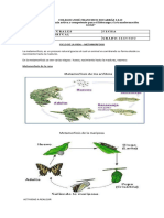 Taller Ciencias 10 Decima Semana