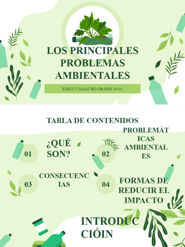 Problemas Ambientales y Soluciones | PDF | Deforestación | Destrucción ...