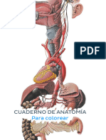 Cuaderno de Anatomia para Colorear 240411 163757