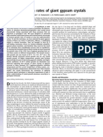 Ultraslow Growth Rates of Giant Gypsum Crystals