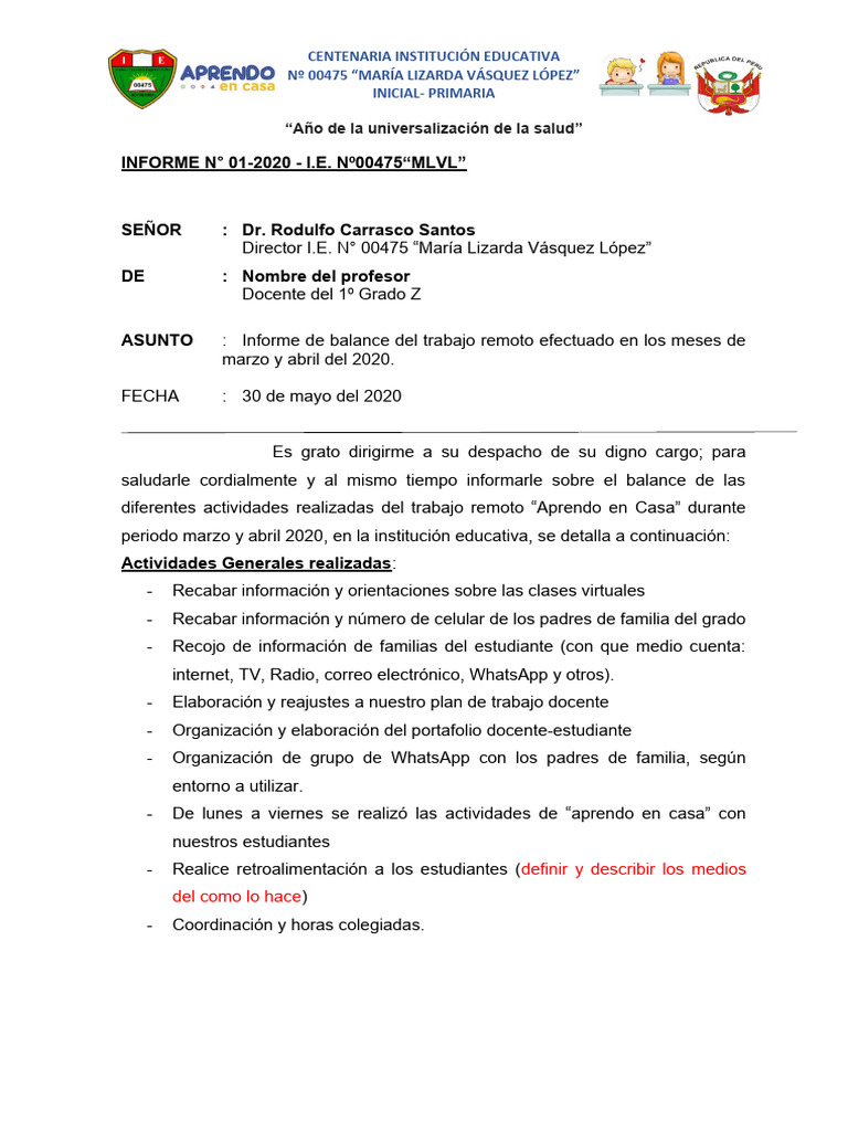 Modelo de Informe Mensual - 2020 | PDF | Ciencias sociales