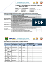 Formato 02 Estructura de Informes -Trabajo Remoto 00475 (1)