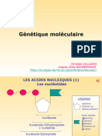 Genetique Moleculaire