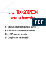 Transcription Eucaryote