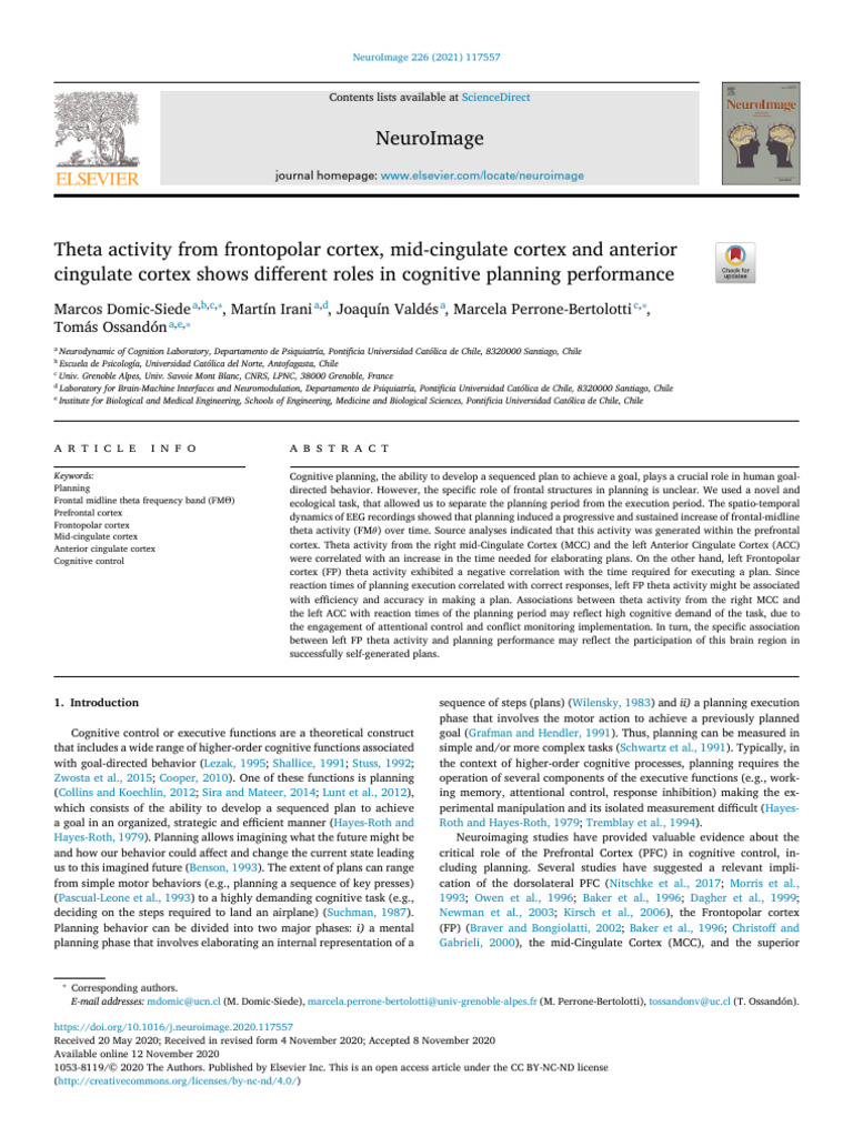 Theta Activity and Cognitive Planning Roles | PDF | Executive Functions ...