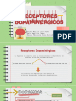 Receptores Dopaminergicos