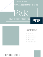 Presentación Prueba PCR