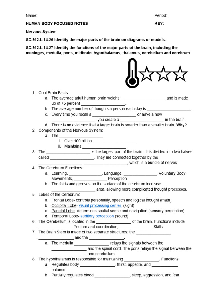 Human Body Focused Notes 2023 PDF Neuron Action Potential