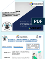 Dirección Ejecutiva de Salud Ambiental - Dirección Regional de Salud Del Callao