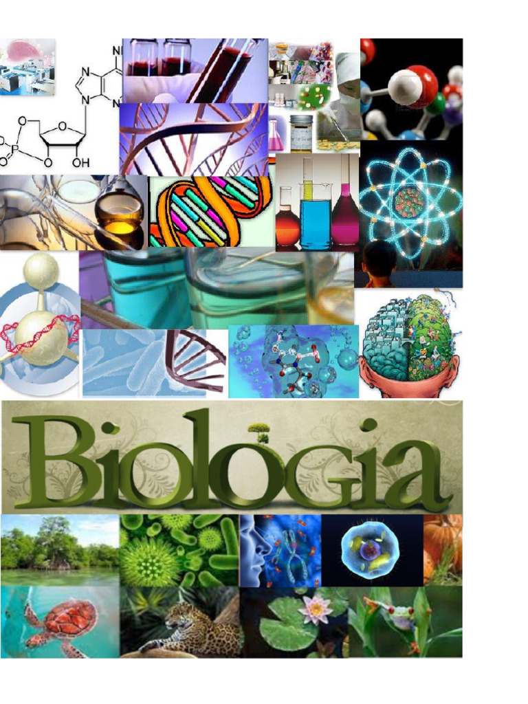 Collage | PDF