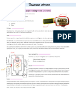 Resumen Solemne 1 Imagenologia Uss