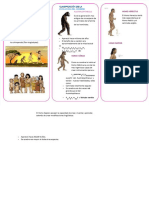 PDF Evolucion Humana Tripticodocx