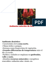 1217609_15_cOfGVNlk_ambientes_naturales_de_chile