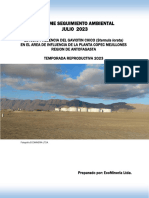 Informe de Seguimiento Ambiental Gaviotín Chico Julio-Diciembre 2023
