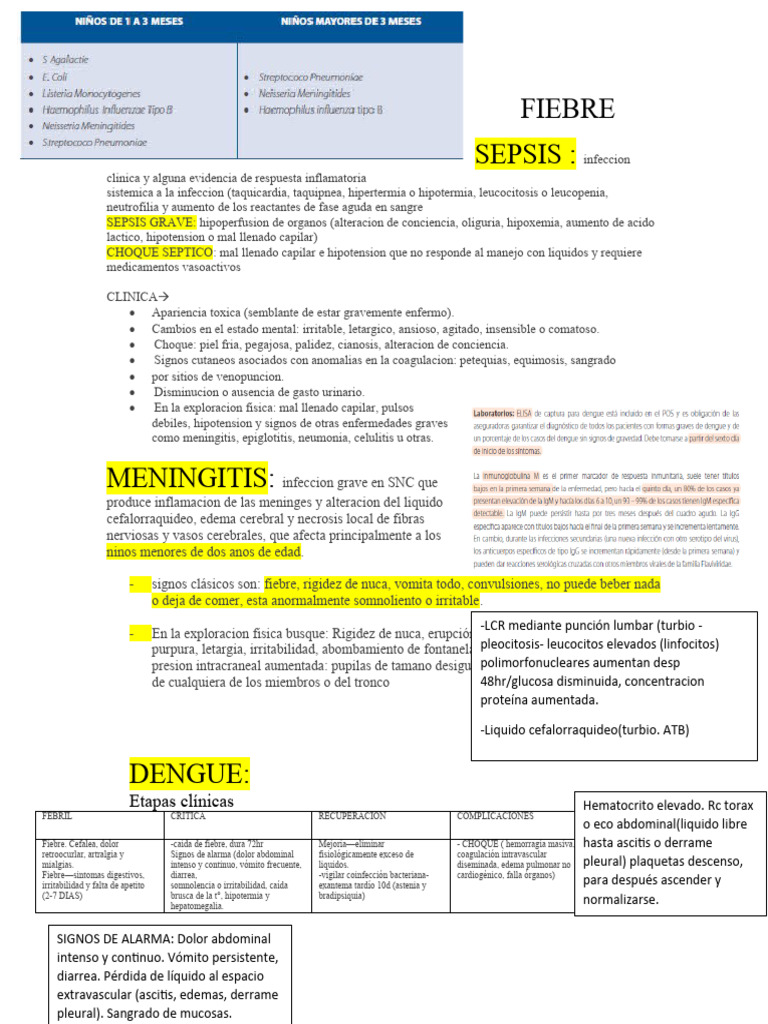 Fiebre Pdf Meningitis Septicemia