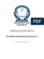 DOCUMENTO ORIENTADOR DEL ASUNTO DE RI