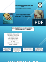 Lesion de Tendones Flexores y Extensores