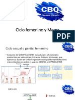 Ciclo Femenino y Mama Utis