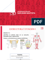 Sistema Esqueletico 2024