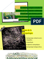 La Antropología Estudia Al Hombre en El Contexto