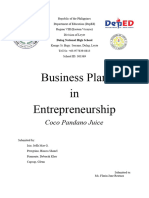 Business Plan Coco Pandano 1